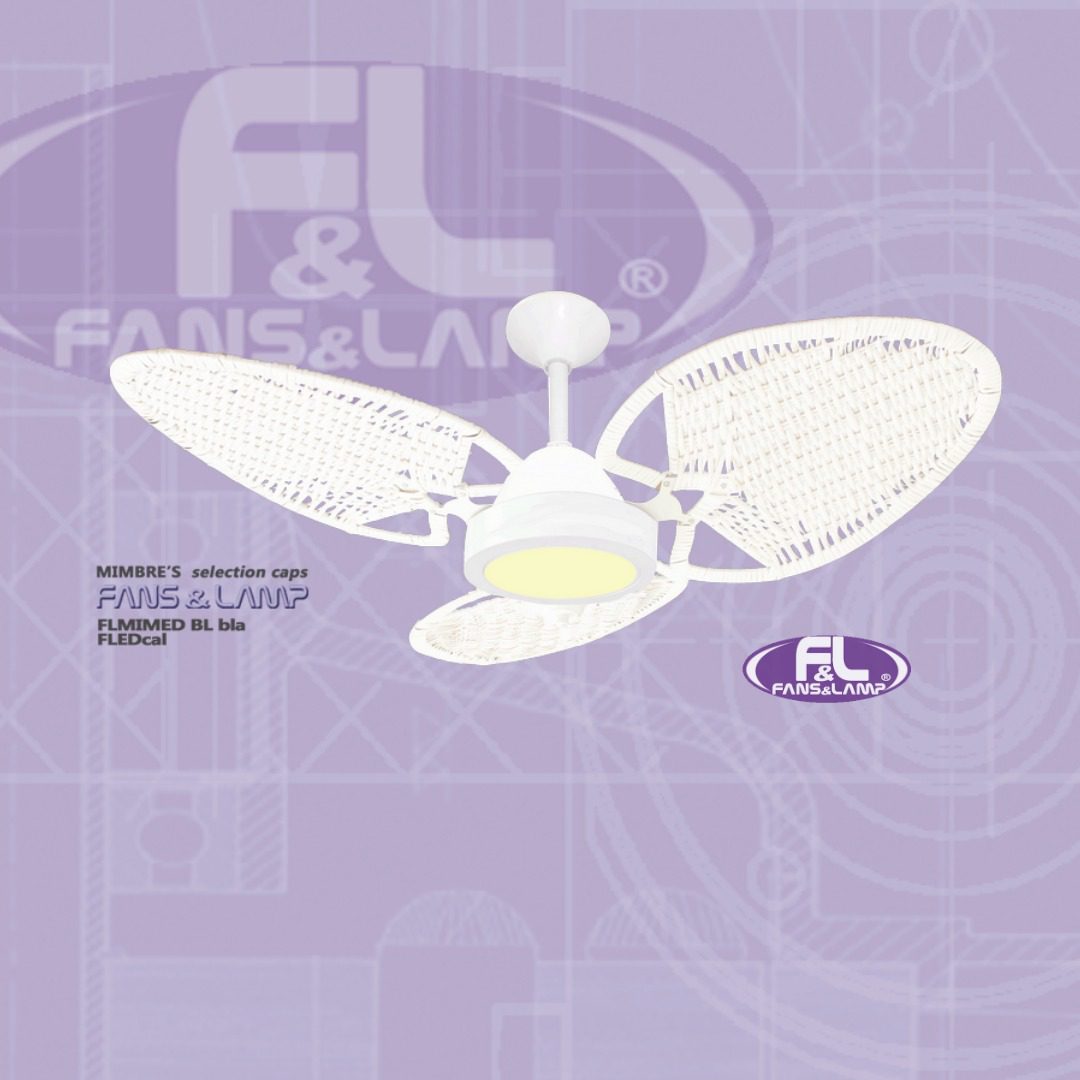 FLTMIMED.BL bla